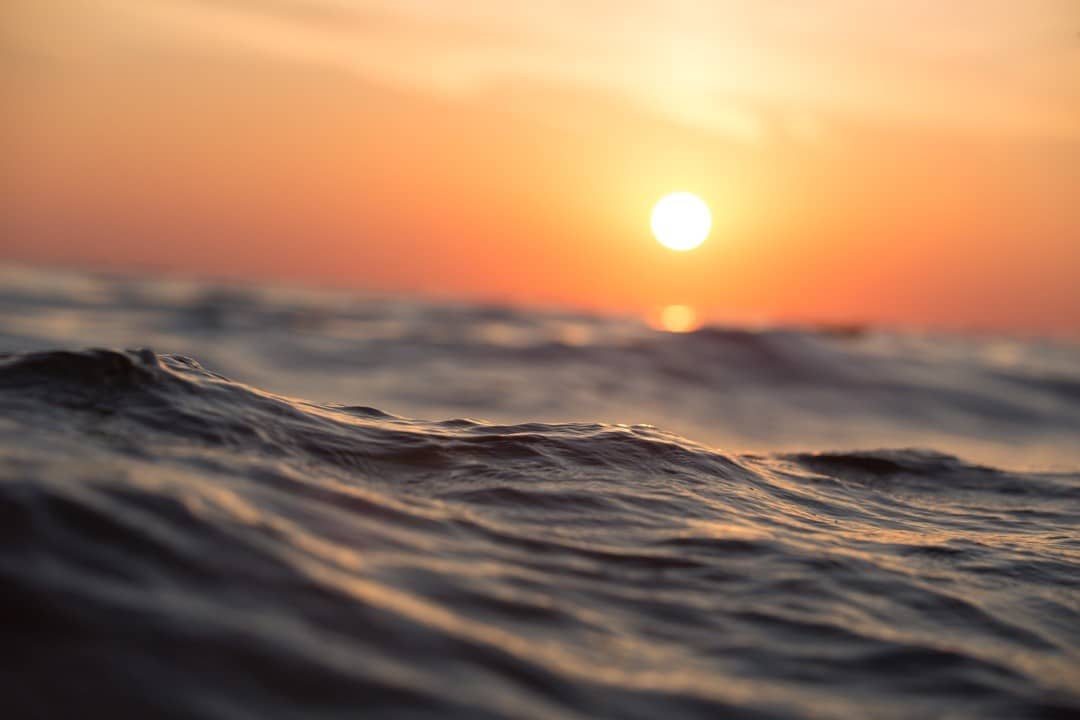 Wi-SUN – wschodząca gwiazda sieci bezprzewodowych — oryginalna okładka